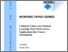 [thumbnail of wp9_2005_mitsisfoley.pdf]