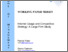 [thumbnail of wp17_2003_foley_samson.pdf]