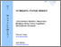 [thumbnail of wp20_2003_mitsis_foley.pdf]