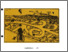 [thumbnail of CROW-COLLECTION-ECOSOEXCHANGE-NO._15compressed.pdf]