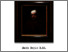 [thumbnail of BOYLE Mark-thesis_nosignature.pdf]