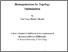 [thumbnail of WANG Yulu-thesis.pdf]