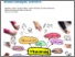 [thumbnail of Improving-participation-and-success-in-VET-for-disadvantaged-learners (1).pdf]
