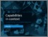 [thumbnail of Capabilities-in-context.pdf]