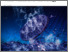 [thumbnail of d0ew00100g.pdf]