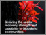 [thumbnail of Growing the seeds FINAL REV-B.pdf]