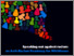 [thumbnail of WCC_AntiRacReport-final_WEB.pdf]