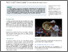 [thumbnail of 6.+Reflections+from+a+humble+and+much+revered+Wimbledon+champion.pdf]