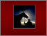 [thumbnail of trainer_book_2008.pdf]